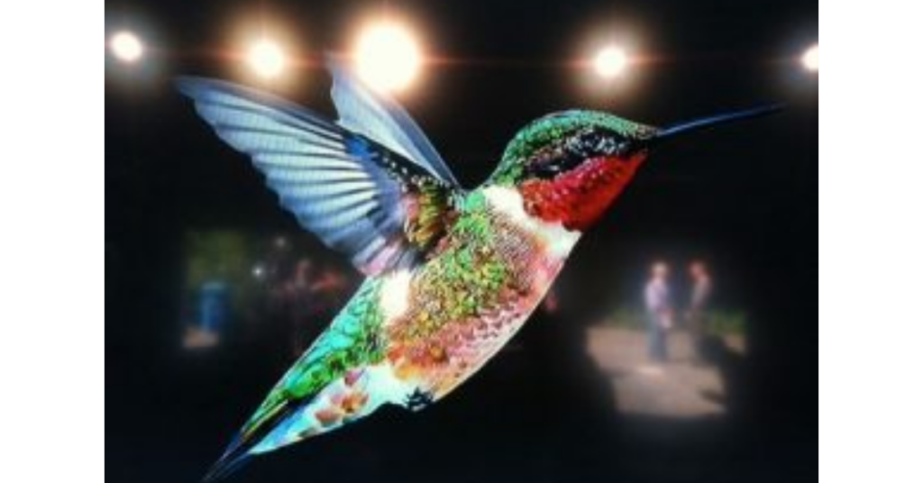 Google Hummingbird update