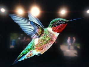 google hummingbird seo update