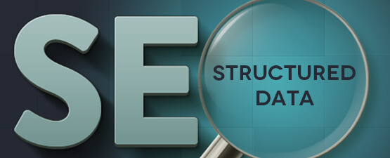 netelixir-seo-structured-data