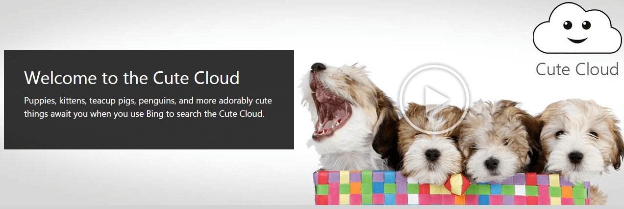 Bing's cute Cloud