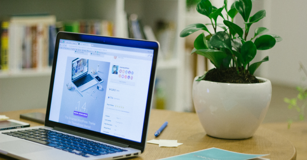 Disappearing Wix & Disavow Protocol - #ThisWeekInSEO