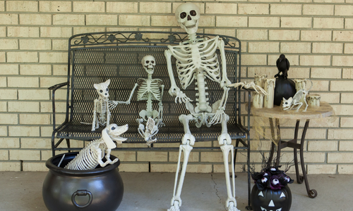 fake human skeletons sitting with a dog skeleton on a bench, with another dog skeleton on the floor and a cat skeleton on their side, posing as Halloween decorations